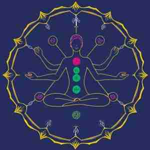 8 Limbs of Yoga illustration