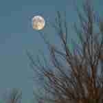 April's full moon in the sky