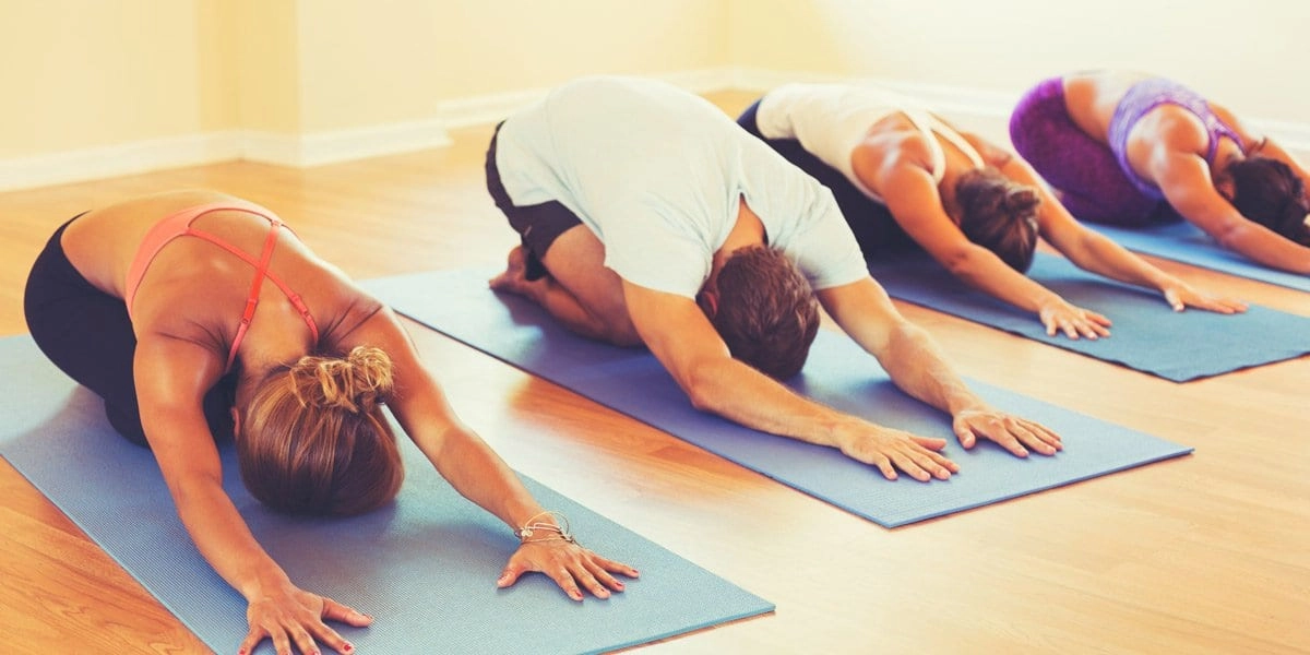 15 Best Yoga Knee Cushions for Pain-Free Practice and Extra Support